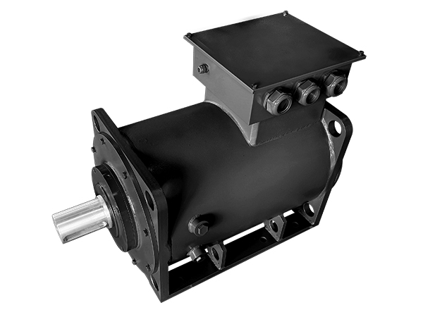 低压永磁同步电机