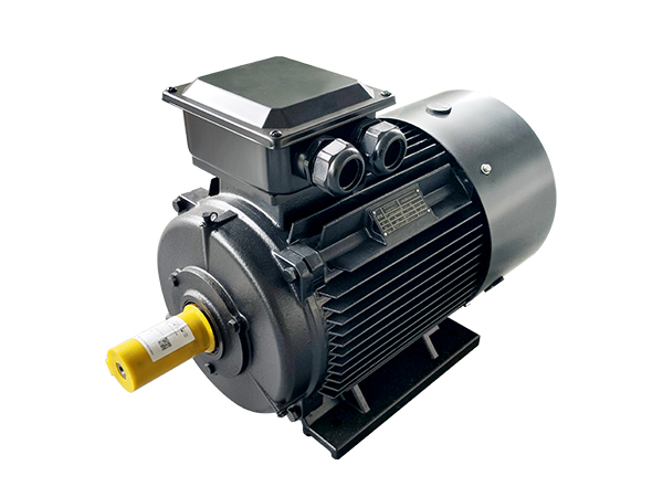 风冷永磁同步电机